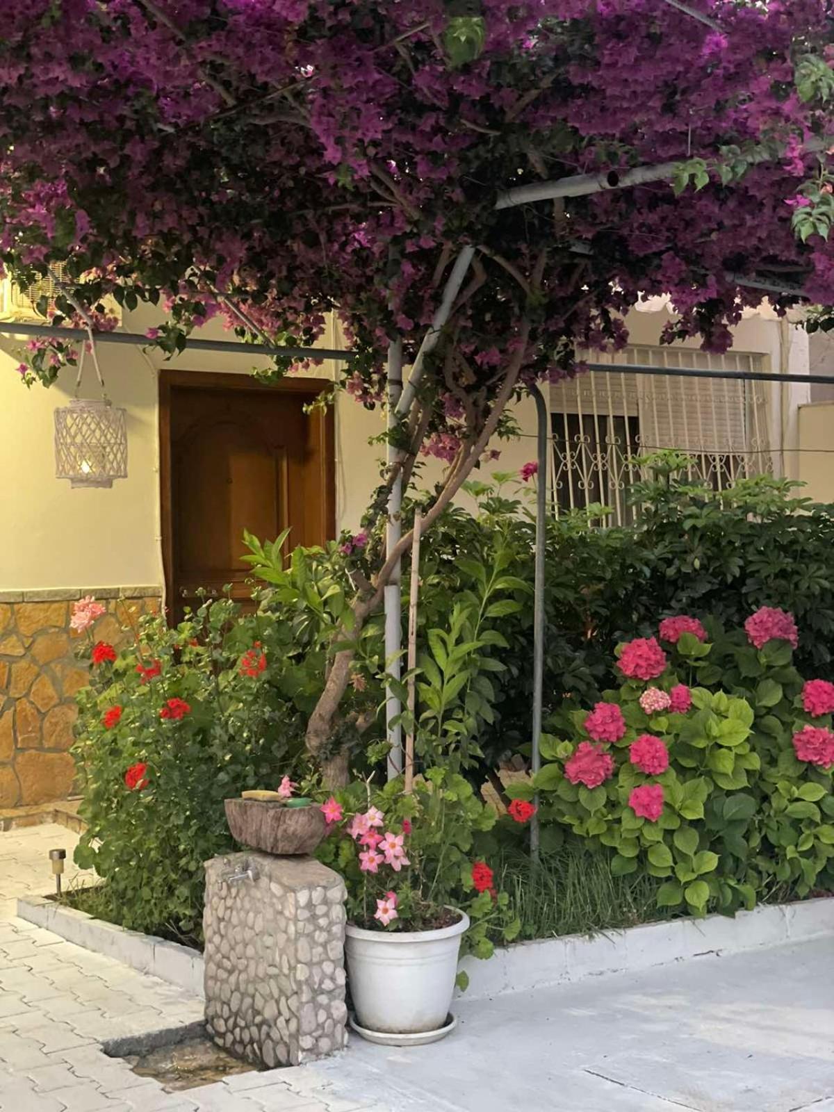 Apartments Athina Orikumi Exteriér fotografie